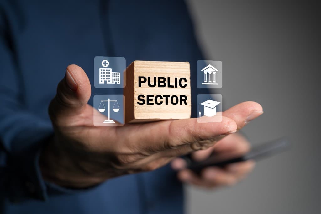 Government and Public Sector